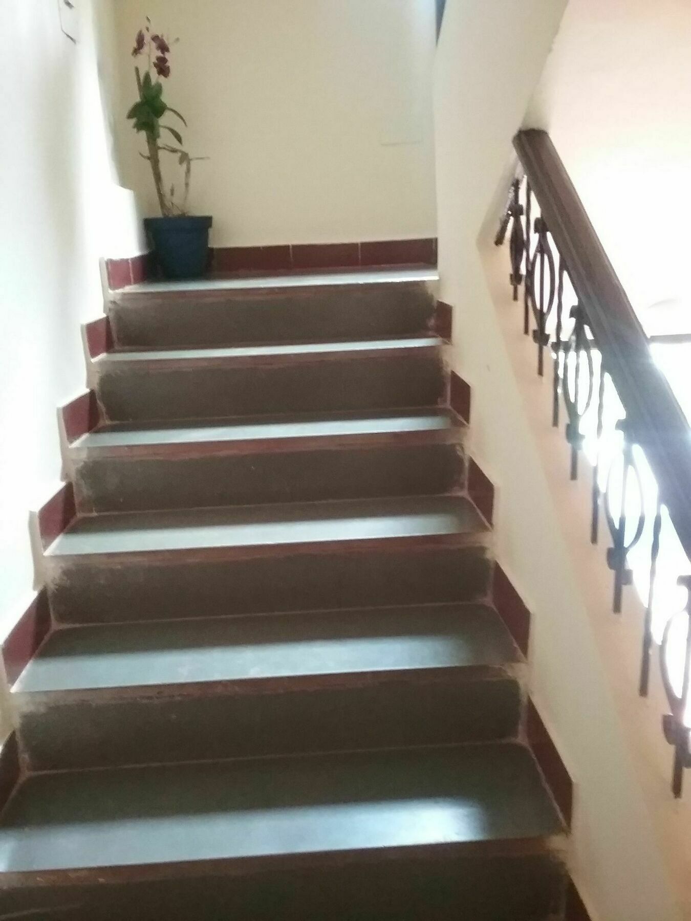 Hotel Baga Villa Bnb Saligao Exterior photo